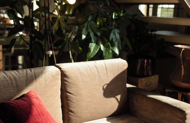 Corte dei Soavi - Photo 7