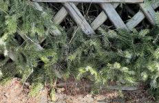 auszeit-orketal - Foto 10