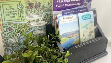 Mountainview Cottage - Photo 5