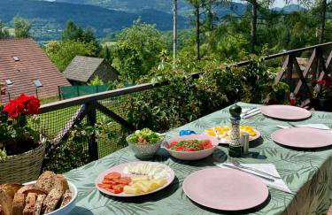 Klimatyczny dom z widokiem na Babią - kominek i ogrodzenie - Foto 36