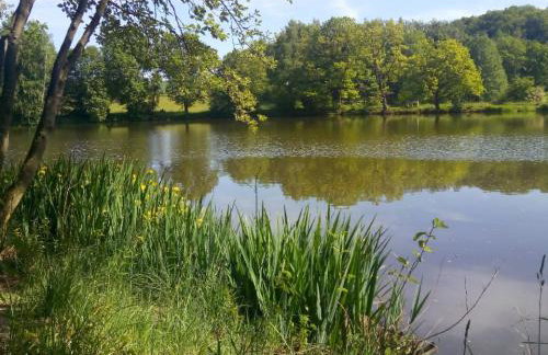 Schloss Merzhausen - Foto 18