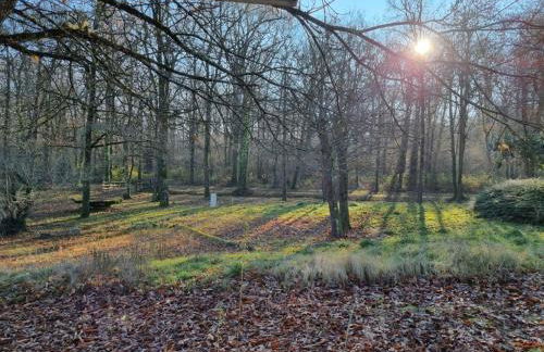 Les Chalets de SAUMUR, Piscine & Parc boisé, 100m du CadreNoir - Foto 24