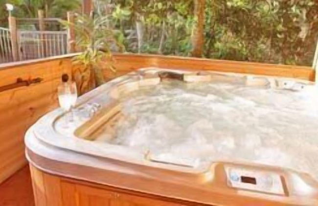 Rainforest Ranch - Photo 11