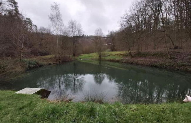 Arendonk Pondside Chalet - Foto 39