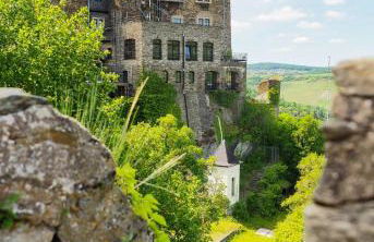 Ferienwohnung RheinSpaziert - Foto 37