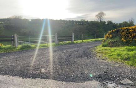 The Burrow - Foto 33