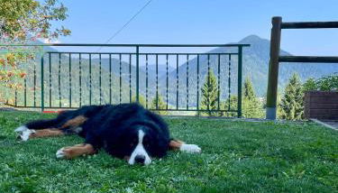 Maso Patrizia - Il tuo rifugio nella natura - Foto 2