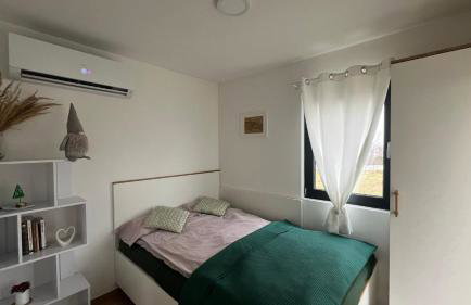 W Kręgu Natury - Foto 26