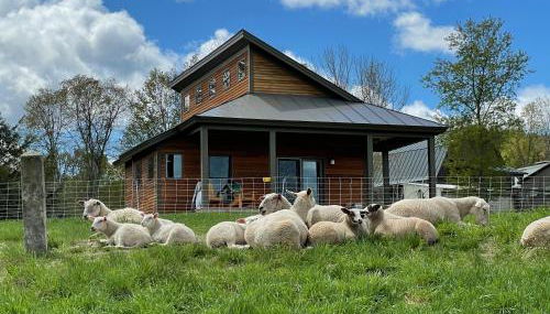 Fat Sheep Farm & Cabins - Photo 1