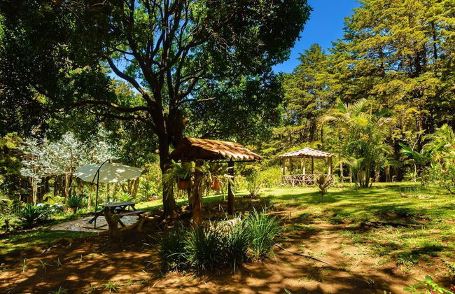 Cabañas Lunas del Poas - Foto 41