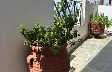 Patricia's Traditional Guesthouse - Foto 13