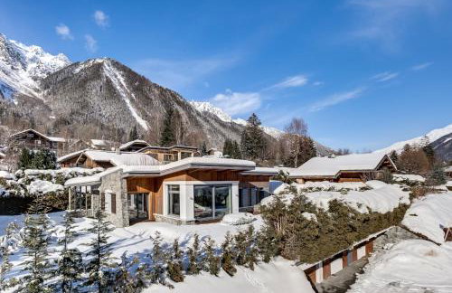 Chalet Safari. Face au Mont-Blanc. - Foto 1