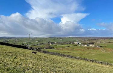 Cosy Cottage near Brimham Rocks Yorkshire Dales - Photo 31