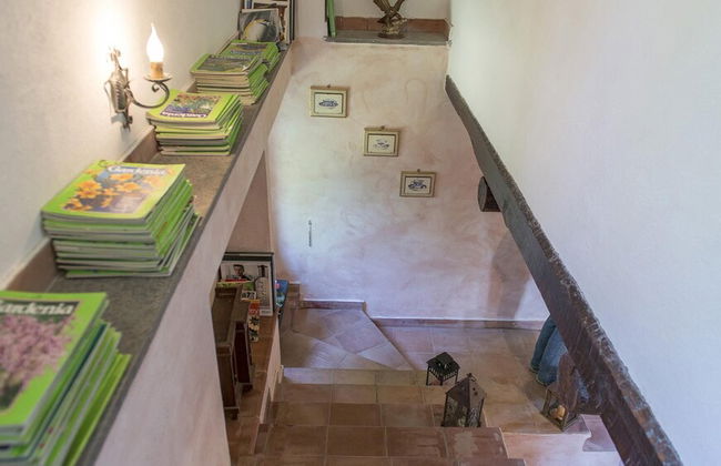 Pg-l188-vocl0at - Pratoline 8 - Foto 50