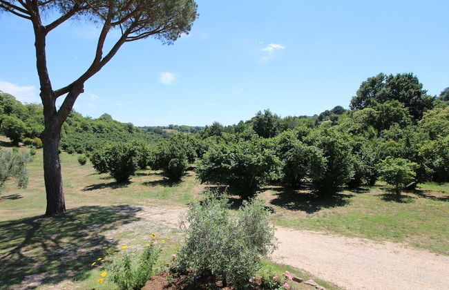 Villa Near Lake Bracciano With Pool - Foto 29
