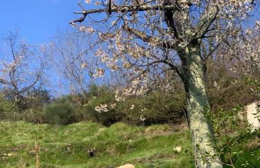 Basilico Apartment with stunnung views - Foto 10