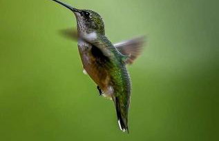 Gorgeous Tiny House with Indoor and Outdoor Lounging Space in Alabama - Foto 14