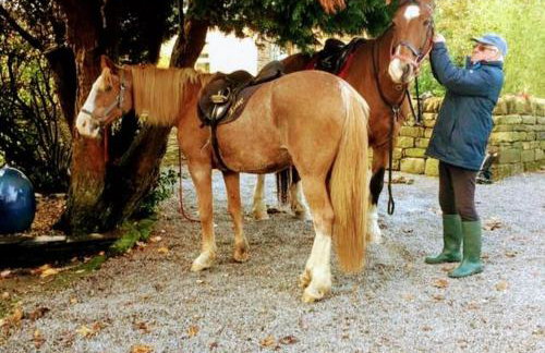 The Barn at Star Chamber Farm - Photo 32