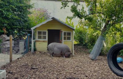 The Sty & The Stable - Foto 6