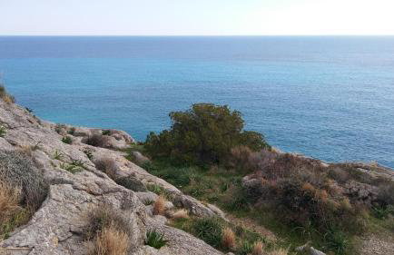 Chouzourakis Studios - Foto 54