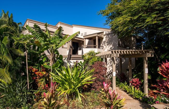 Wonderful Wailea Condo Lanai Water Views - Foto 28