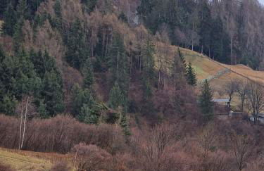 Casa Vacanze TraMonti da M&M - Casargo - Foto 49