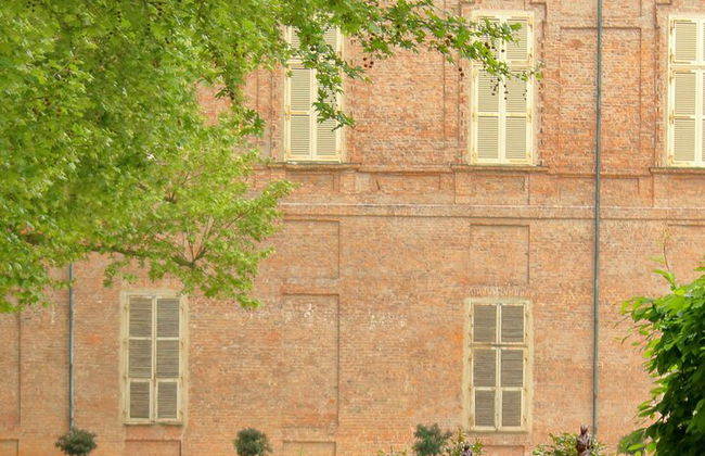 Tour a pie exprés por Turín - Foto 14