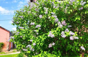 Folwark Malinowy Chruśniak - Foto 61