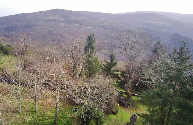 Pretty Cottage in Ourense - Photo 43