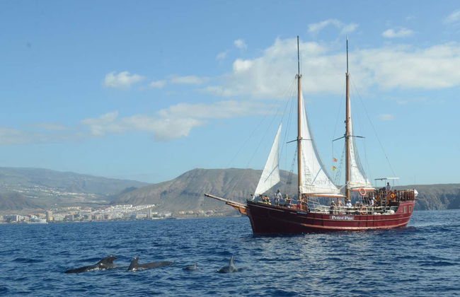 Schooner Whale Watching Cruise - Photo 8
