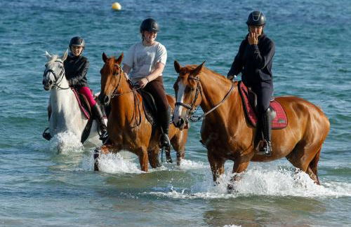 Location Maison Larmor plage - Foto 15