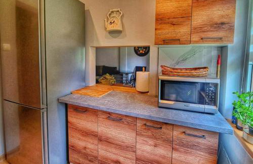 Ranczo Bieszczady duży Domek z Jacuzzi i Sauną - Foto 32