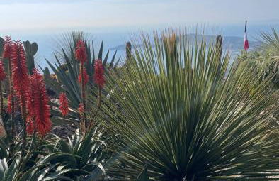 Gîte Le Figuier de Saint Ce Jardinet Terrasse Vue - Foto 48