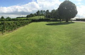 Agriturismo Ca' Vecia - Foto 145