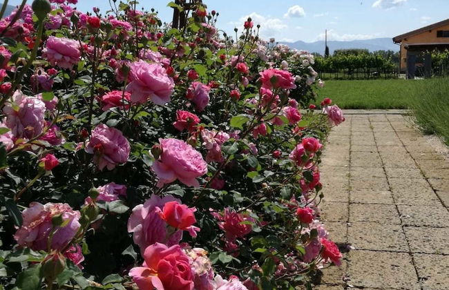 Il Fienile di Assisi - Foto 67