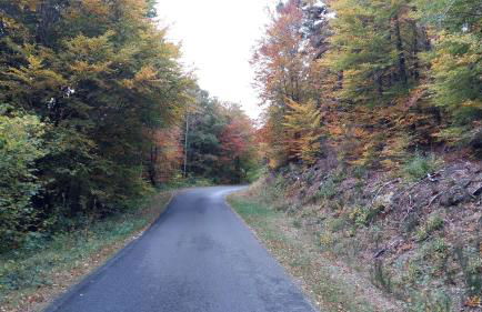 Gite les ducs - Foto 31