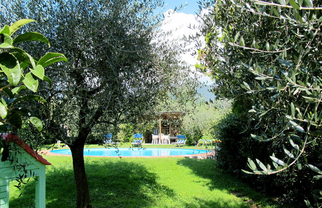 Agrifoglio - Foto 15