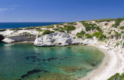 Ale house experience - Foto 28