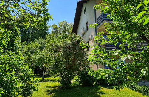 Happy Sparrow - Foto 45