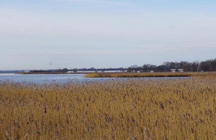 Fischerhus In Krummin - nur für Urlauber - Foto 14