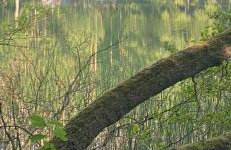 Domek rekreacyjny DORAN - Foto 29