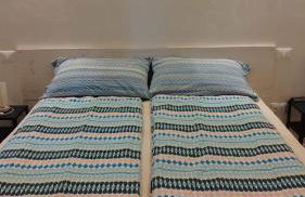 The judas trees - Foto 39