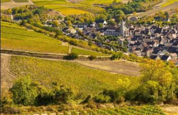 Appartement spacieux et lumineux au centre ville - Foto 22