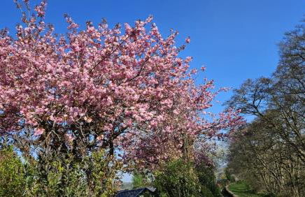 Folly View - Private, peaceful apartment with stunning views. - Foto 74