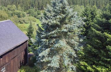 FerienHaus "Grimberg" & großes Grundstück - Photo 38