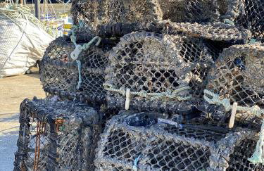 Spacious, seaside, Victorian home "Bay View Terrace", Penzance - Photo 41