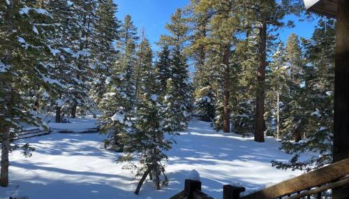 One of a Kind Cabin, Covered Deck, Spa, and Games - Foto 2