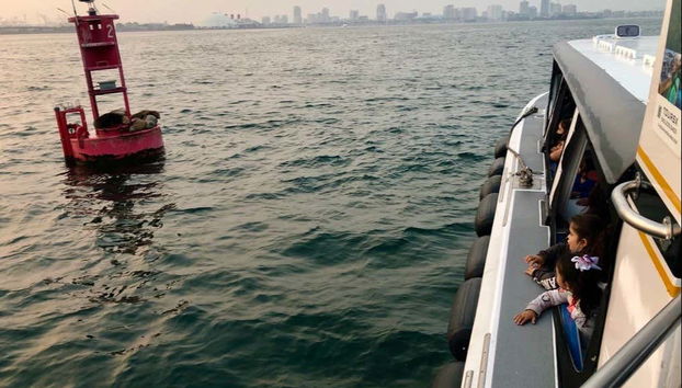 Passeio de barco com fundo de vidro por Long Beach - Foto 5, Navegando ao longo de Long Beach