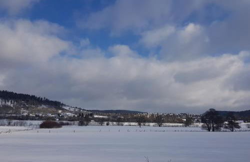Ferienwohnung Parkblick Medebach - wunderschöne 52qm Dachterasse - in der Nähe von Center Parcs - Foto 41