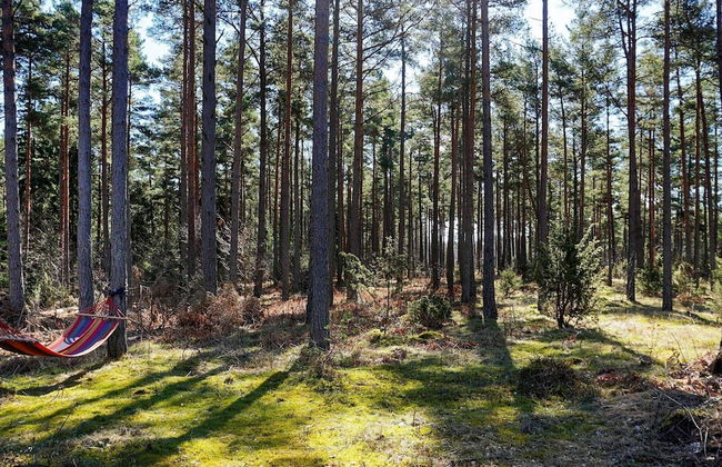 7 Person Holiday Home in Stenkyrka - Photo 21